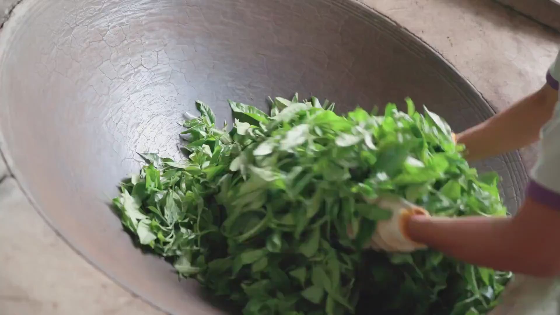 Video laden: Die Blätter für das Matcha Pulver werden in einer Schale getrocknet.